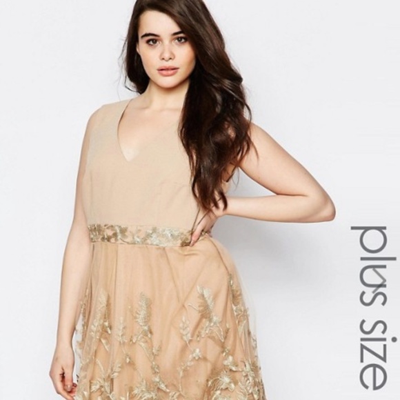Lovedrobe Plus Skater Dress With Lace Border - Picture 1 of 4